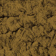 Sepia, Gold, Coordonne, 5mp / rola