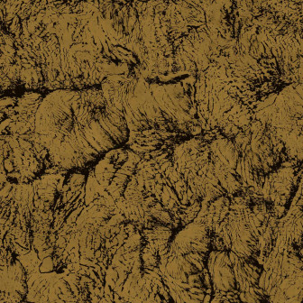 Tapet sepia și auriu cu design abstract
