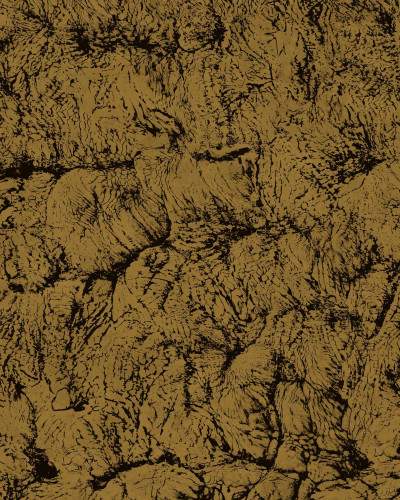 Tapet sepia și auriu cu design abstract