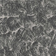 Sepia, Stone, Coordonne, 5mp / rola