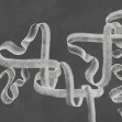 Ribbon, Ink, Coordonne