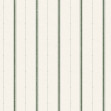 Lineal, Green, Coordonne, 5mp / rola
