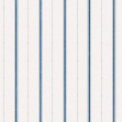 Lineal, Blue, Coordonne, 5mp / rola