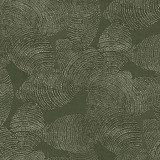 Rif Relief, Sage, Coordonne, 5.2mp / rola