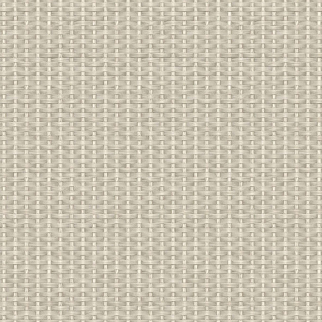 Tapet cu design elegant și textură delicată, perfect pentru a crea o atmosferă relaxantă în orice cameră.