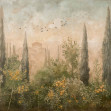 Frutetto, Summer, Coordonne