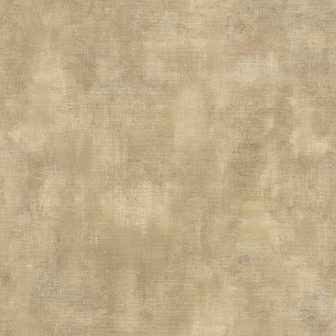Tapet texturat bej în decor rustic