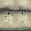Doñana, Gold, Coordonne