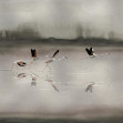 Doñana, Silver, Coordonne