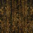 Seijaku, Gold, Coordonne