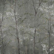 Woods Extra, Silver, Coordonne