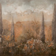 Frutetto, Copper, Coordonne