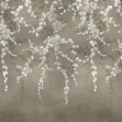 Vine Shadow, Silver, Coordonne