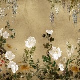 Spring Festival, Gold, Coordonne