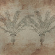 Palma, Silver, Coordonne