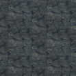 Lignite, Silver, Coordonne