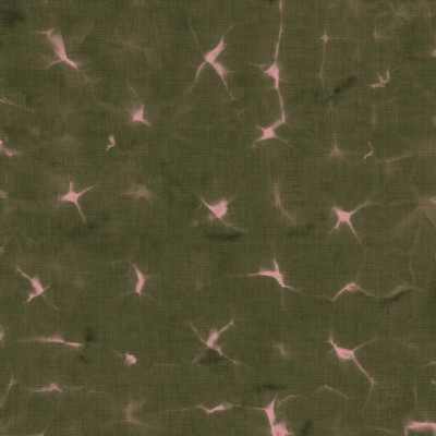 Tapet verde mușchi cu model abstract, ideal pentru design interior