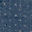 Kanoko, Indigo, Coordonne, 5mp / rola