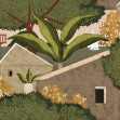 Napolo, Cactus, Coordonne