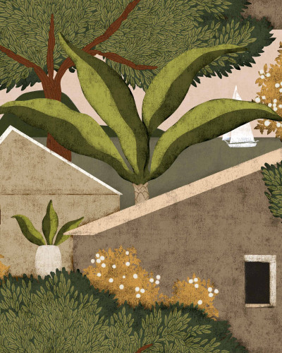 Napolo, Cactus, Coordonne