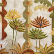 Agaves, Cactus, Coordonne