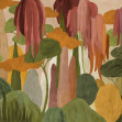 Camecuaro, Cactus, Coordonne