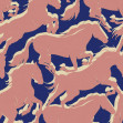 Galope, Cobalt, Coordonne, 5mp / rola