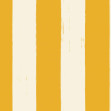 Toldo, Golden, Coordonne, 5mp / rola