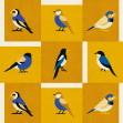 Like a Bird, Golden, Coordonne, 5mp / rola