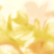 Maravillas, Golden, Coordonne