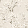 Field-Maple, Bone, Coordonne, 5mp / rola