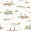 Mallard-Duck, Sage, Coordonne, 5mp / rola
