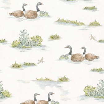 Mallard-Duck, Sage, Coordonne, 5mp / rola