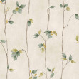Azahar, Celadon, Coordonne, 5mp / rola