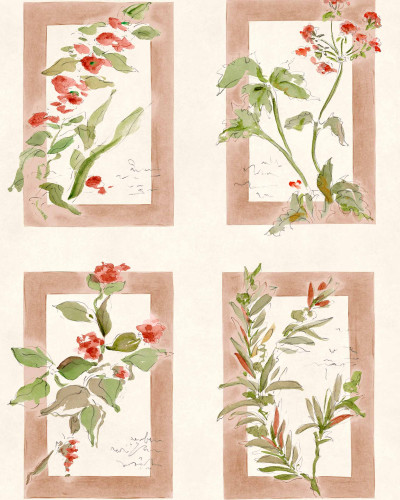 Sta Cruz, Rosado, Coordonne, 5mp / rola