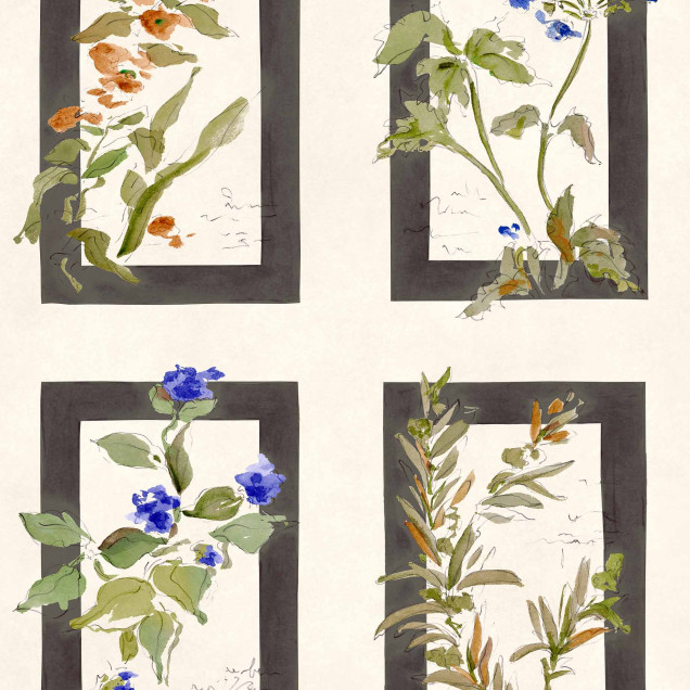 Tapet cu rame continand ilustratii botanice de flori si plante pe un fundal deschis