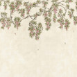 Abril, Rosado, Coordonne