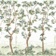 Cartuja, Celadon, Coordonne