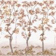 Cartuja, Rosado, Coordonne