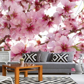 Foto tapet 3D Apple Blossom, Dimex, 5 fâșii, 375 x 250cm Foto tapet 3D Apple Blossom, Dimex, 5 fâșii, 375 x 250cm
