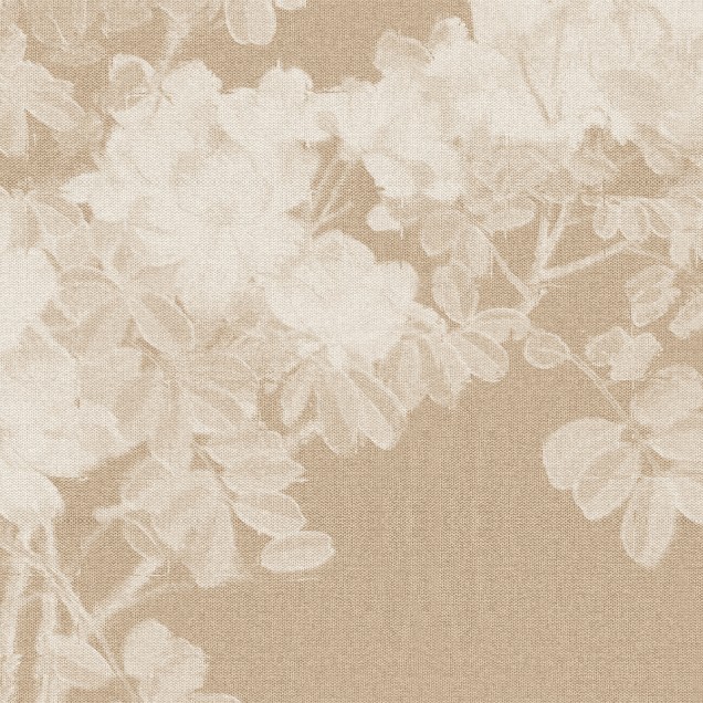Tapet floral Aramanda No Hana Momo cu flori de Allamanda albe pe un fundal bej. Tapetul are o textură subtilă. În imagine, tapetul este aplicat pe un perete din dormitor.