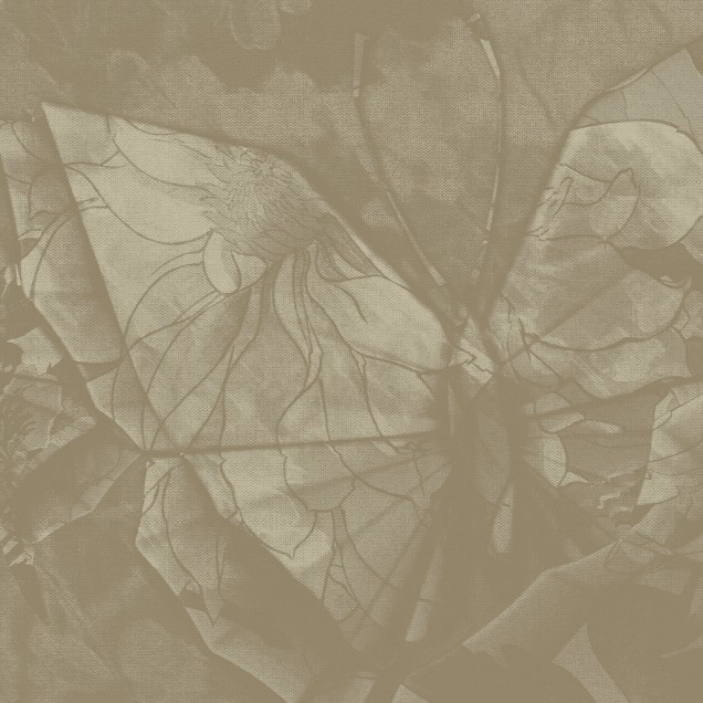 Fototapet Dream Prints DPR-DP0101A. Conține culorile: