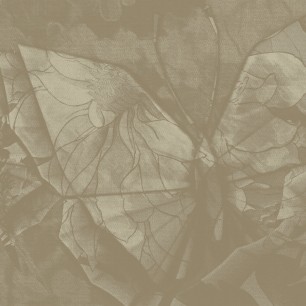 Fototapet Dream Prints DPR-DP0101A. Conține culorile: