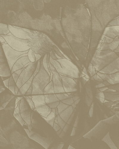 Fototapet Dream Prints DPR-DP0101A. Conține culorile:
