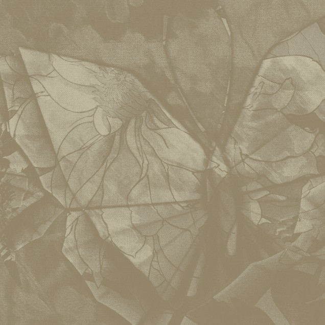 Fototapet Dream Prints DPR-DP0101A. Conține culorile:
