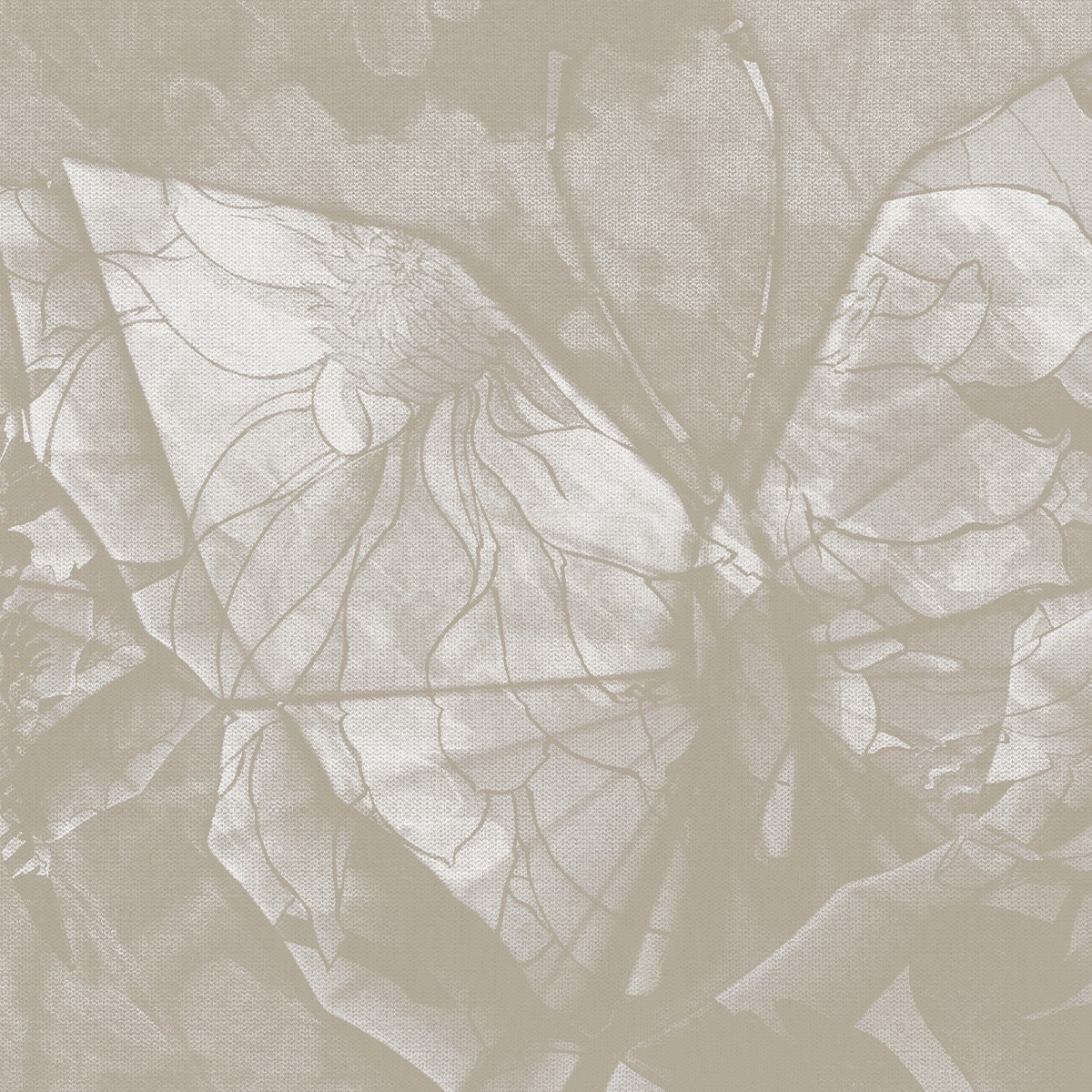 Fototapet Dream Prints DPR-DP0101B. Conține culorile: