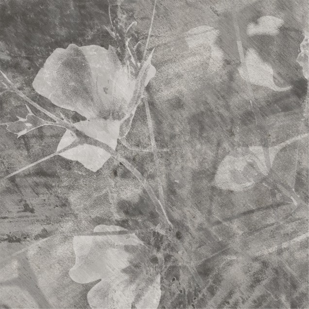Fototapet Dream Prints DPR-DP0103B. Conține culorile: