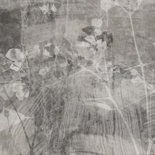 Fototapet Dream Prints DPR-DP0103B. Conține culorile: