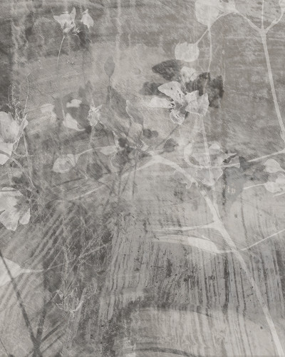 Fototapet Dream Prints DPR-DP0103B. Conține culorile: