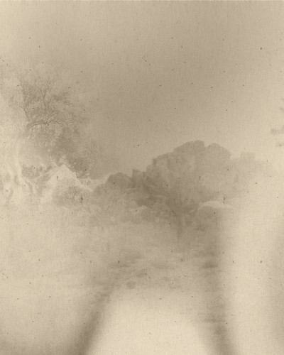 Fototapet Dream Prints DPR-DP0107A. Conține culorile: